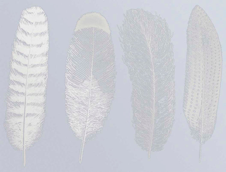 Grande Plume #1 Décalcomanies - Céramique Cône 017 - Verre Fusionné - Émail