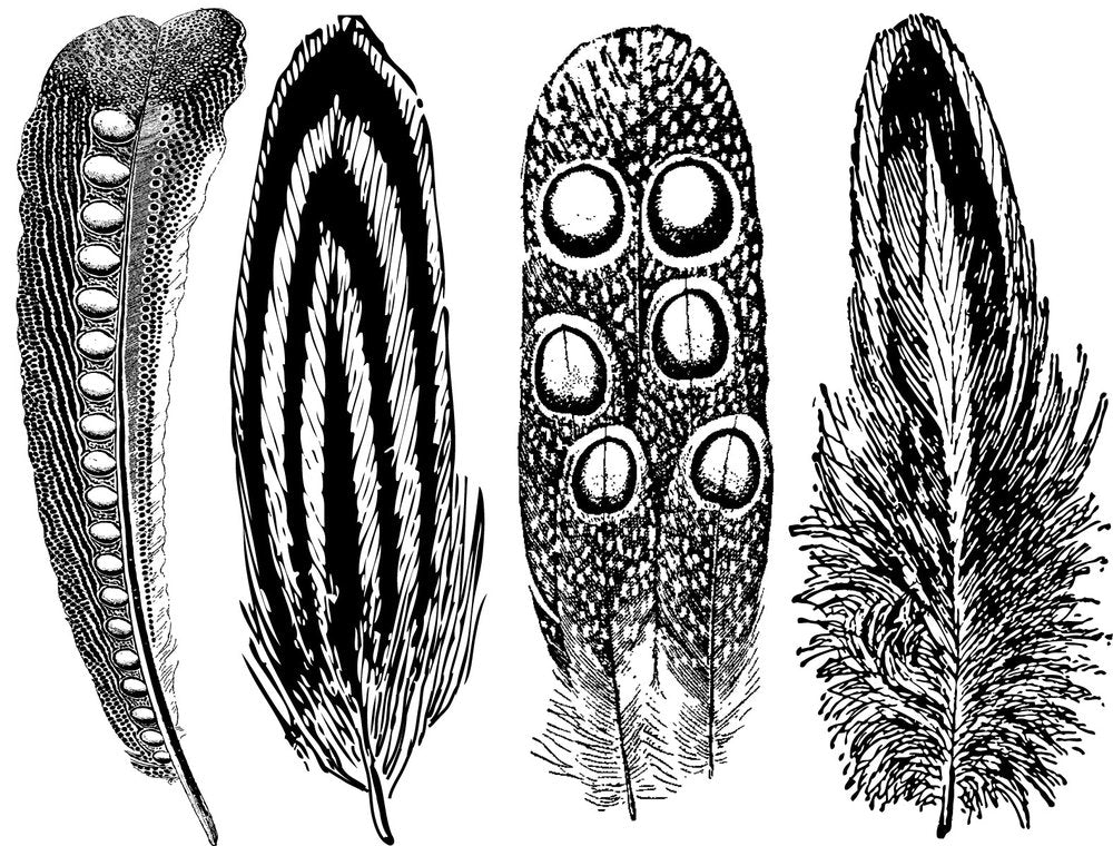 Large Feather #2 Decals - Glassware - Cone 021 