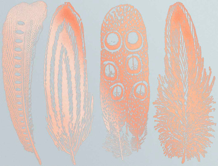 Décalcomanies Grande Plume n°2 - Verrerie - Émail