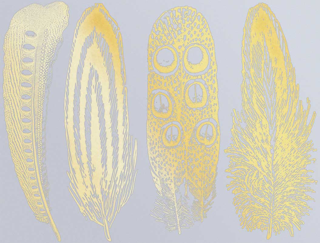 Décalcomanies Grande Plume n°2 - Verrerie - Émail