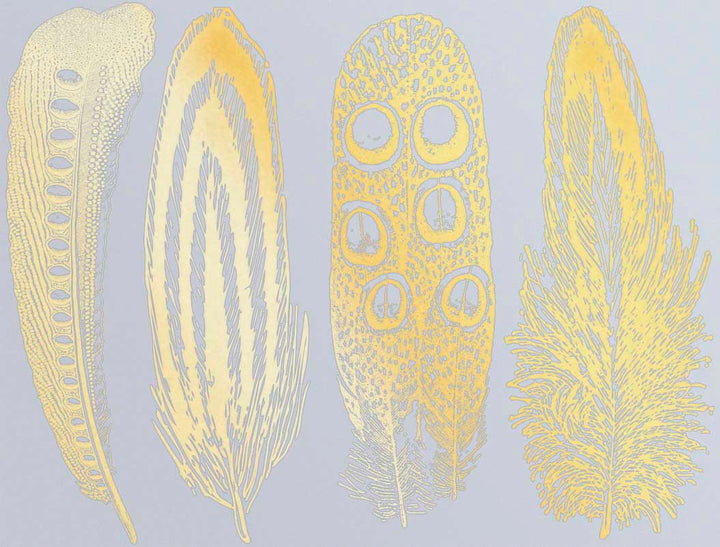 Décalcomanies Grande Plume n°2 - Verrerie - Émail