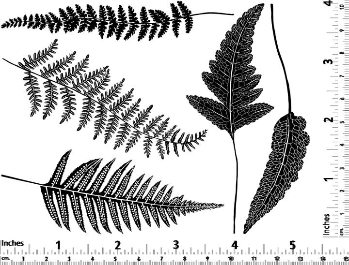 Décalcomanies Fougères bicolores - Céramique Cône 017 - Verre fusionné - Émail