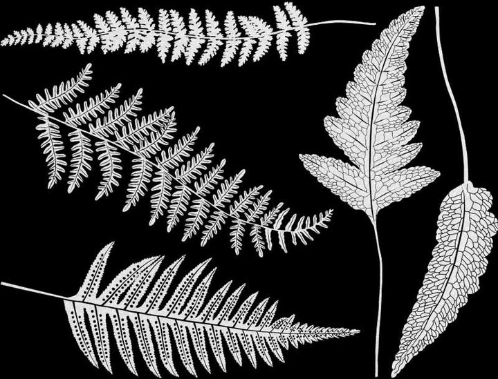 Décalcomanies Fougère - Céramique Cône 017 - Verre fusionné - Émail