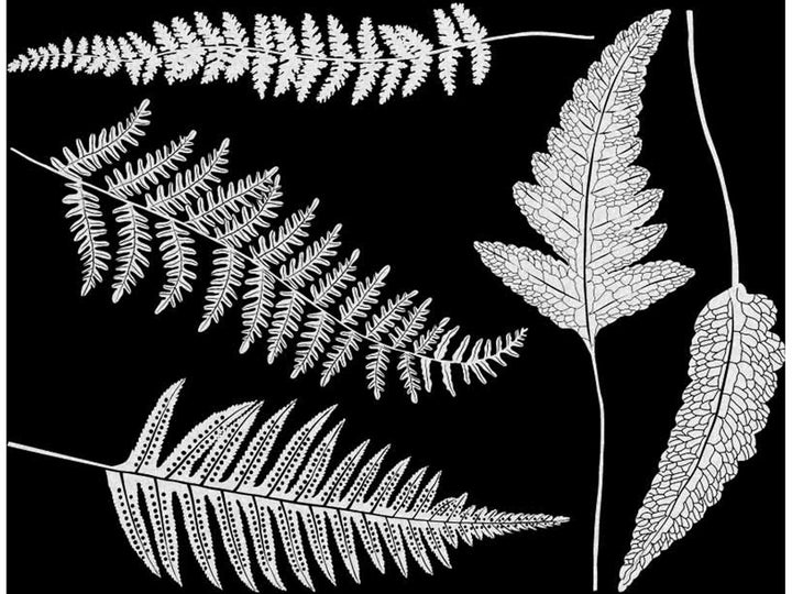 Décalcomanies Fougère - Verrerie - Émail