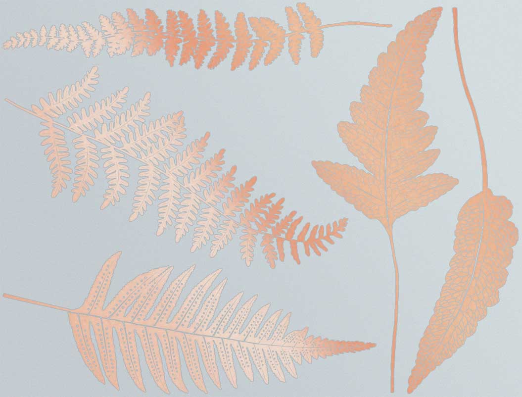 Décalcomanies Fougère - Verrerie - Émail