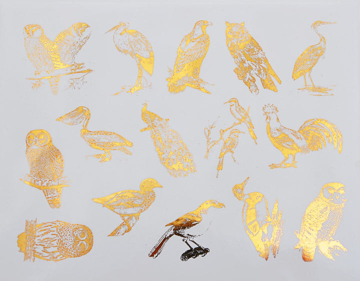 Décalcomanies d'oiseaux mélangés - Céramique Cône 017 - Verre fusionné - Émail