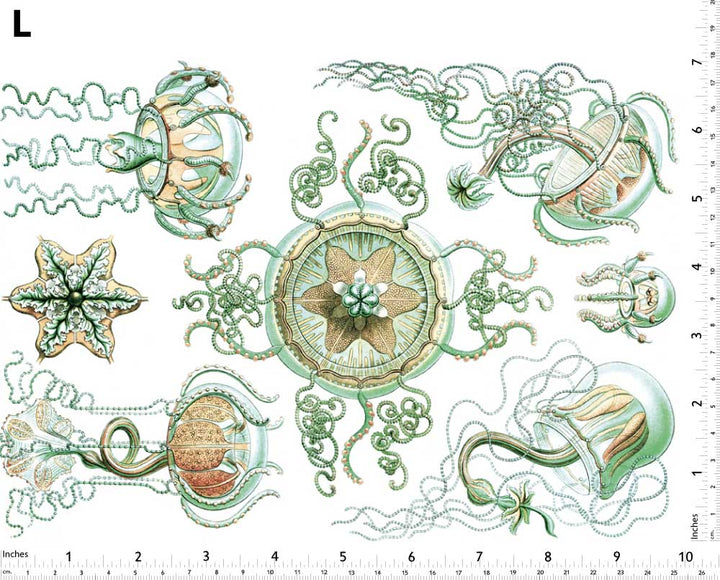 Décalcomanies Méduses Vert/Marron - Non adapté pour Produits Alimentaires - Céramique Cône 017 - Verre Fusionné - Émail