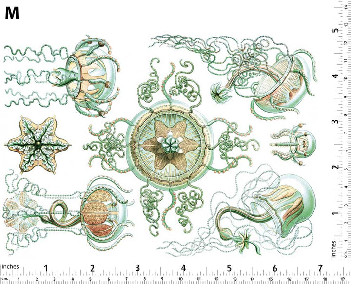 Décalcomanies Méduses Vert/Marron - Non adapté pour Produits Alimentaires - Céramique Cône 017 - Verre Fusionné - Émail