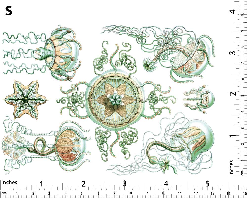 Décalcomanies Méduses Vert/Marron - Non adapté pour Produits Alimentaires - Céramique Cône 017 - Verre Fusionné - Émail