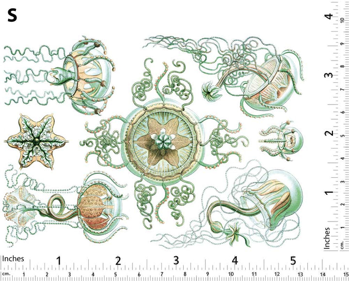 Décalcomanies Méduses Vert/Marron - Non adapté pour Produits Alimentaires - Céramique Cône 017 - Verre Fusionné - Émail
