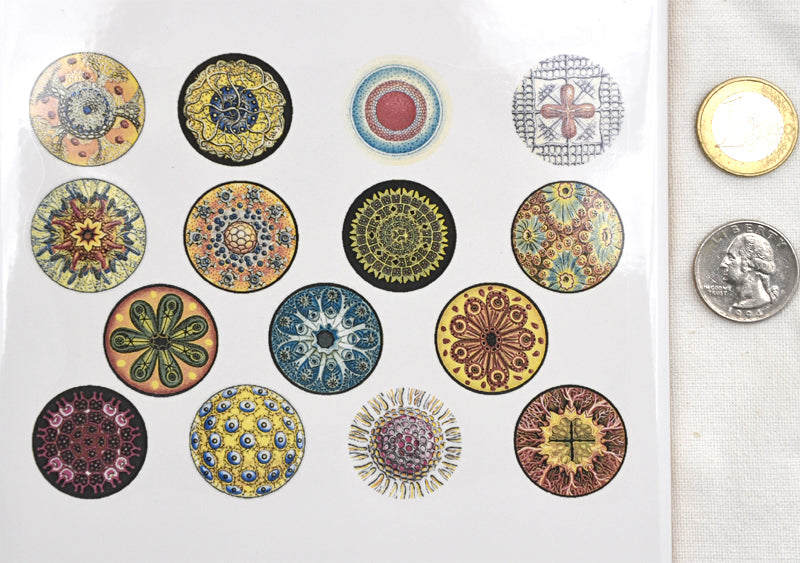 Décalcomanies cercles colorés - Céramique En-glaçure 2000°F/1100°C - Pour produits alimentaires