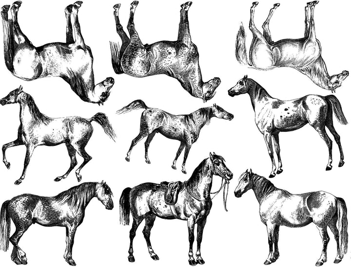 Aufkleber mit Pferderassen - Kegel 6 - Inglasur 