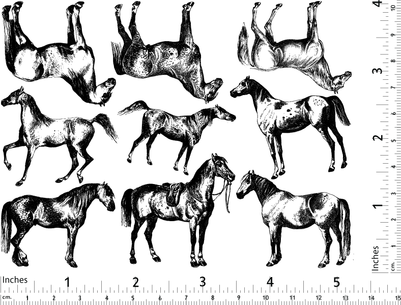 Aufkleber mit Pferderassen - Kegel 6 - Inglasur 