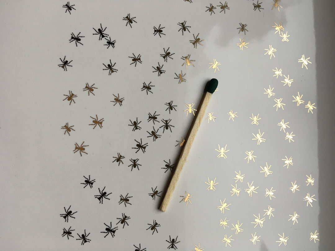 Décalcomanies Fourmi - Céramique Cône 017 - Verre fusionné - Émail