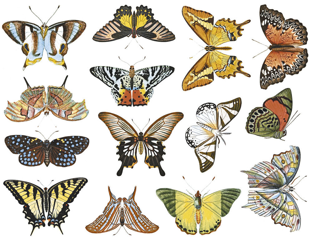 Colorful Butterfly #1 Decals- Food Safe  - Cone 017 - Fused Glass 