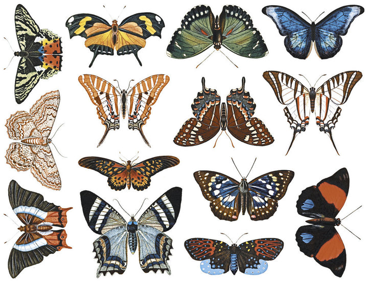 Colorful Butterfly #2 Decals - Not Food Safe  - Cone 017 - Fused Glass 