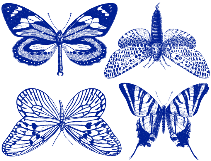 Grandes Décalcomanies Papillons - Céramique Cône 017 - Verre fusionné - Émail