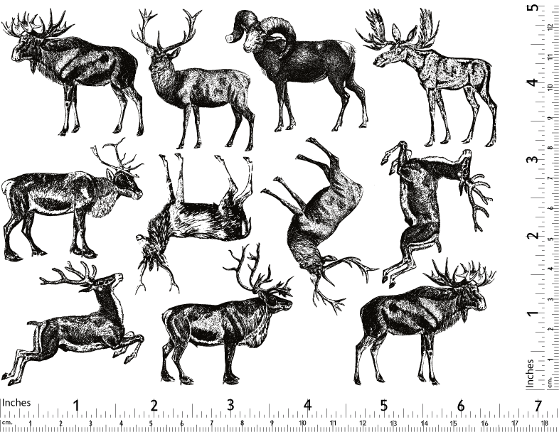 Décalcomanies d'animaux à bois de cerf - Céramique Cône 017 - Verre fusionné - Émail