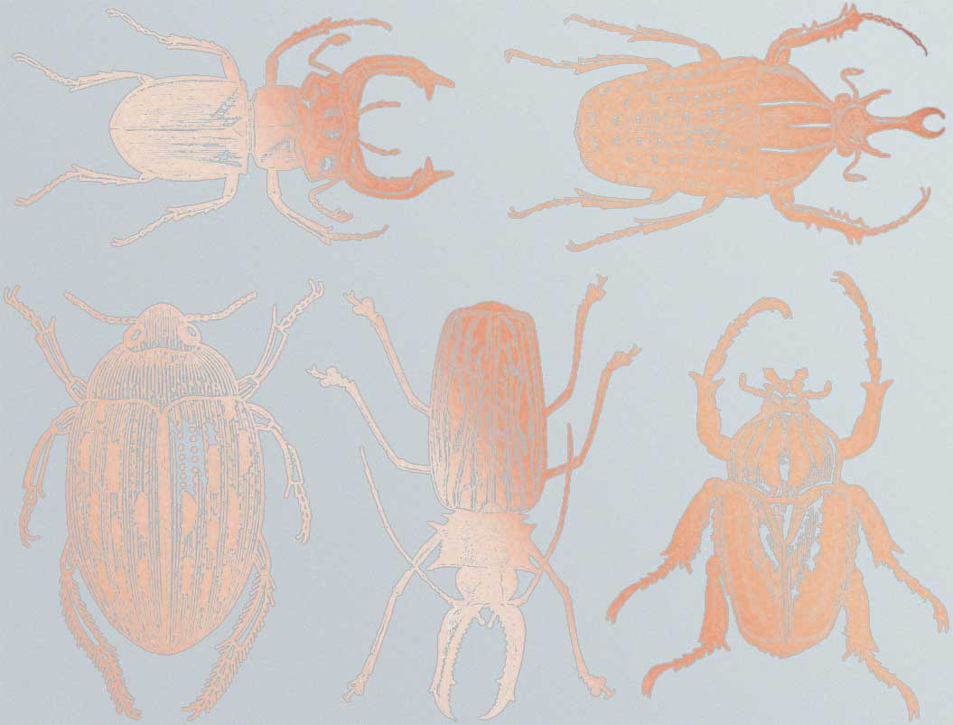 Grandes Décalcomanies Scarabées - Verrerie - Émail