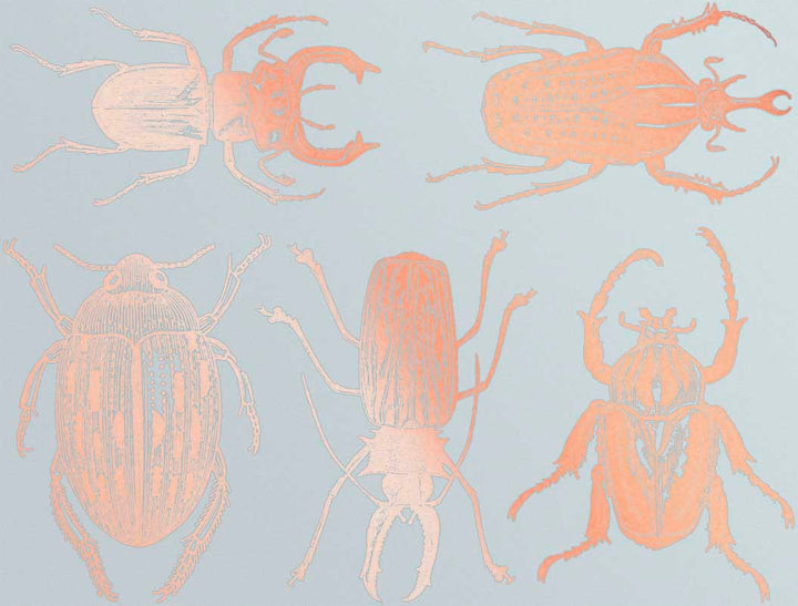 Grandes Décalcomanies Scarabées - Verrerie - Émail