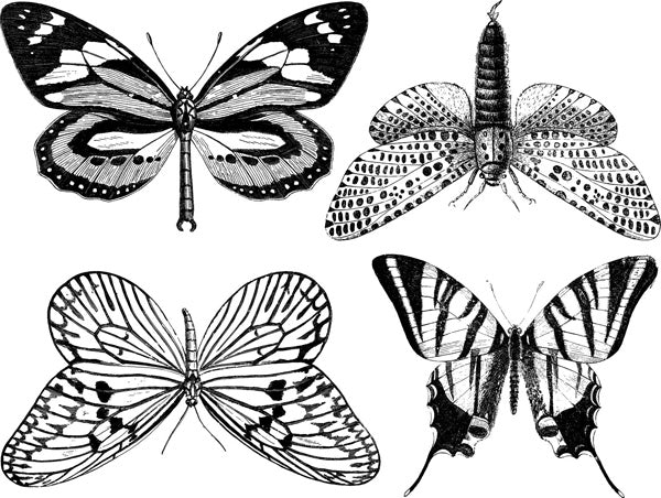 Large Butterfly Decals - Cone 6 - Inglaze 