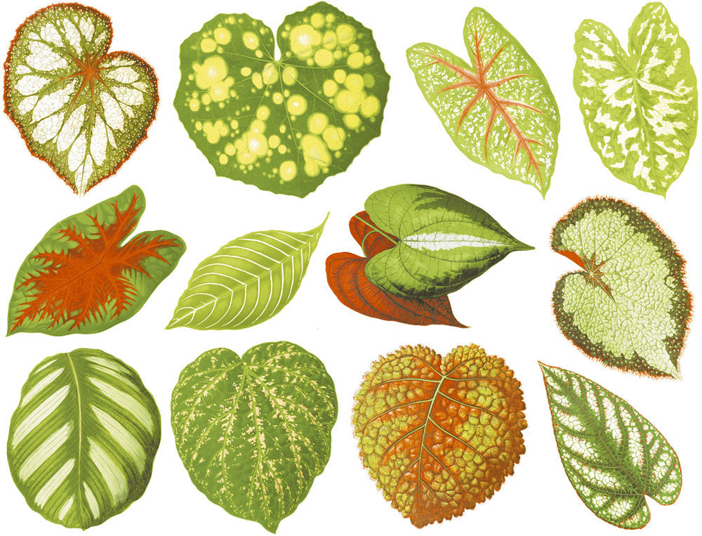 Colorful Leaf Decals - Cone 017 - Fused Glass 