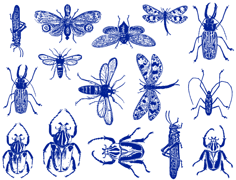 Décalcomanies d'insectes mixtes - Céramique Cône 017 - Verre fusionné - Émail