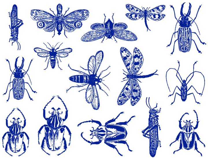 Décalcomanies d'insectes mixtes - Céramique Cône 017 - Verre fusionné - Émail