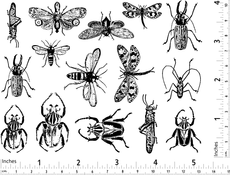 Mixed Insect Decals  - Glassware - Enamel