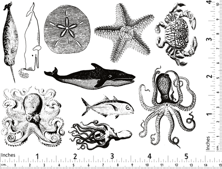 Décalcomanies de vie marine mélangée - Céramique Cône 017 - Verre fusionné - Émail