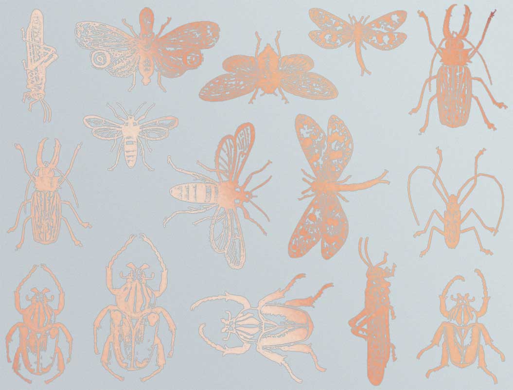 Décalcomanies d'insectes mixtes - Céramique Cône 017 - Verre fusionné - Émail