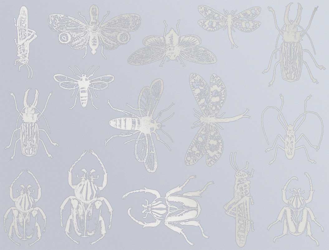 Décalcomanies d'insectes mixtes - Céramique Cône 017 - Verre fusionné - Émail