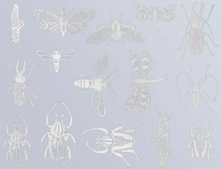 Décalcomanies d'insectes mixtes - Céramique Cône 017 - Verre fusionné - Émail