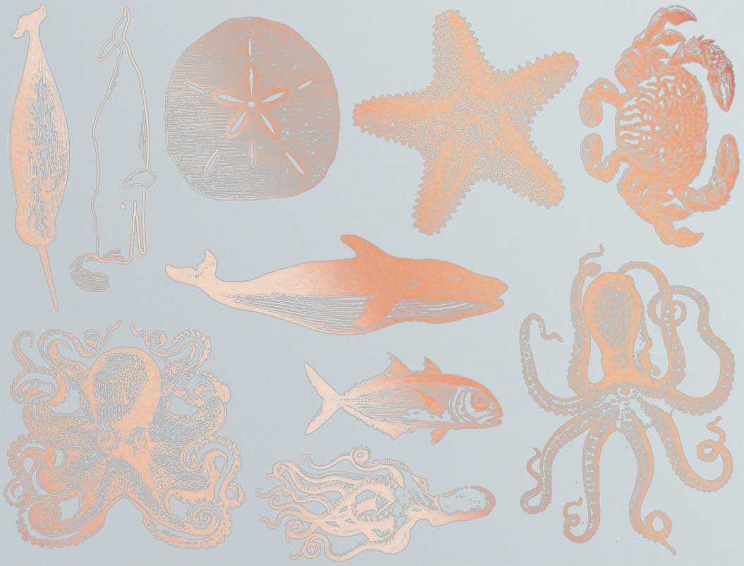 Décalcomanies de vie marine mélangée - Céramique Cône 017 - Verre fusionné - Émail