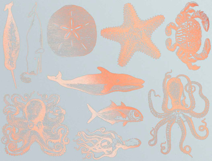 Décalcomanies de vie marine mélangée - Céramique Cône 017 - Verre fusionné - Émail