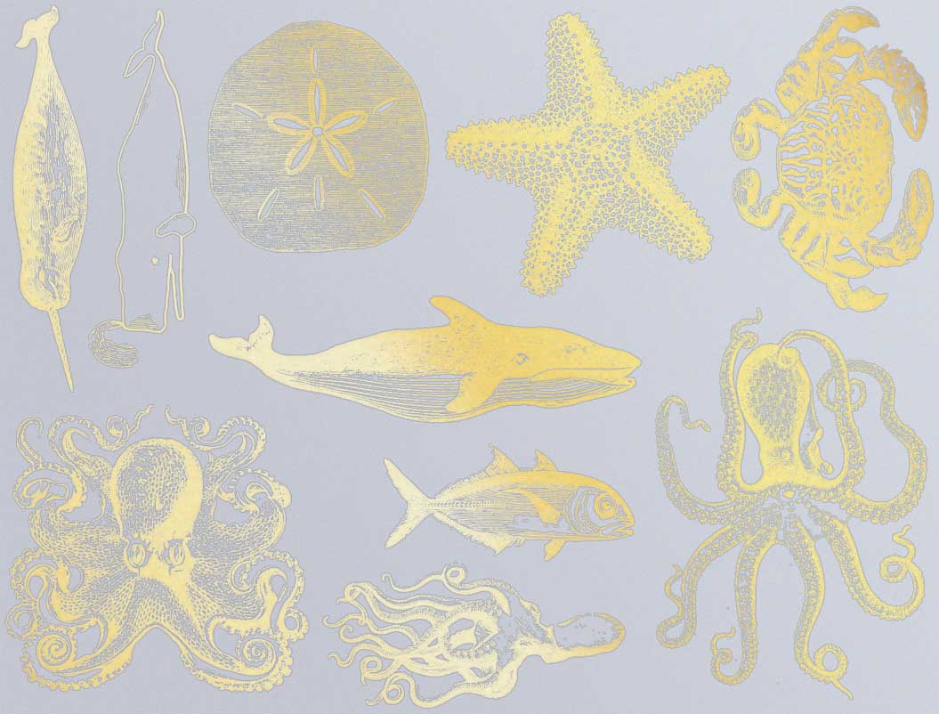 Décalcomanies de vie marine mélangée - Céramique Cône 017 - Verre fusionné - Émail