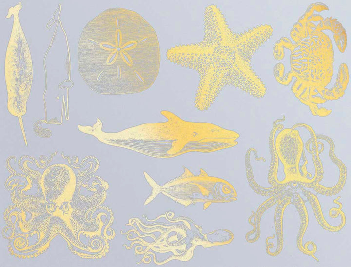 Décalcomanies de vie marine mélangée - Céramique Cône 017 - Verre fusionné - Émail