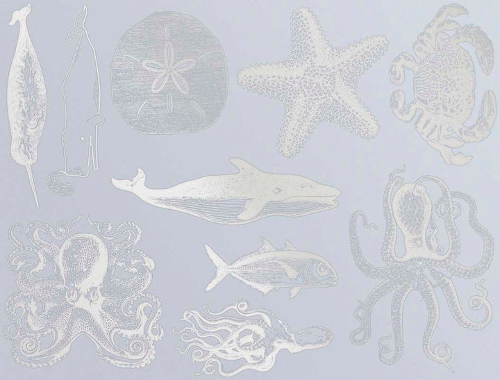 Décalcomanies de vie marine mélangée - Céramique Cône 017 - Verre fusionné - Émail