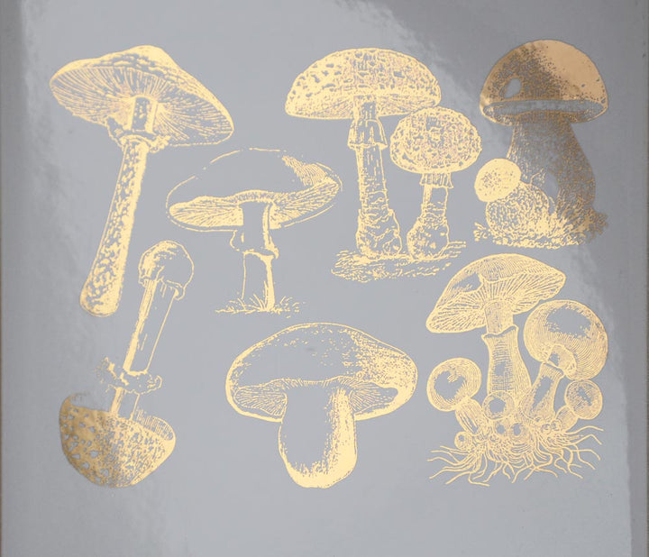 Vintage Mushroom Decals - Ceramic Cone 017 - Fused Glass - Enamel