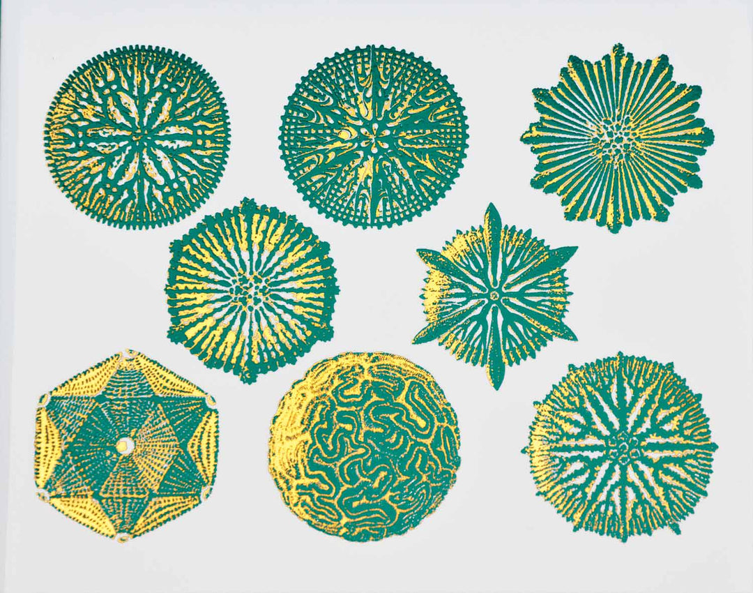 Décalcomanies bicolores forme Nature n°1 - Céramique Cône 017 - Verre fusionné - Émail