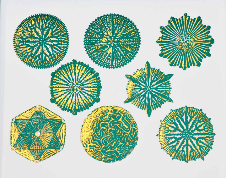 Décalcomanies bicolores forme Nature n°1 - Céramique Cône 017 - Verre fusionné - Émail