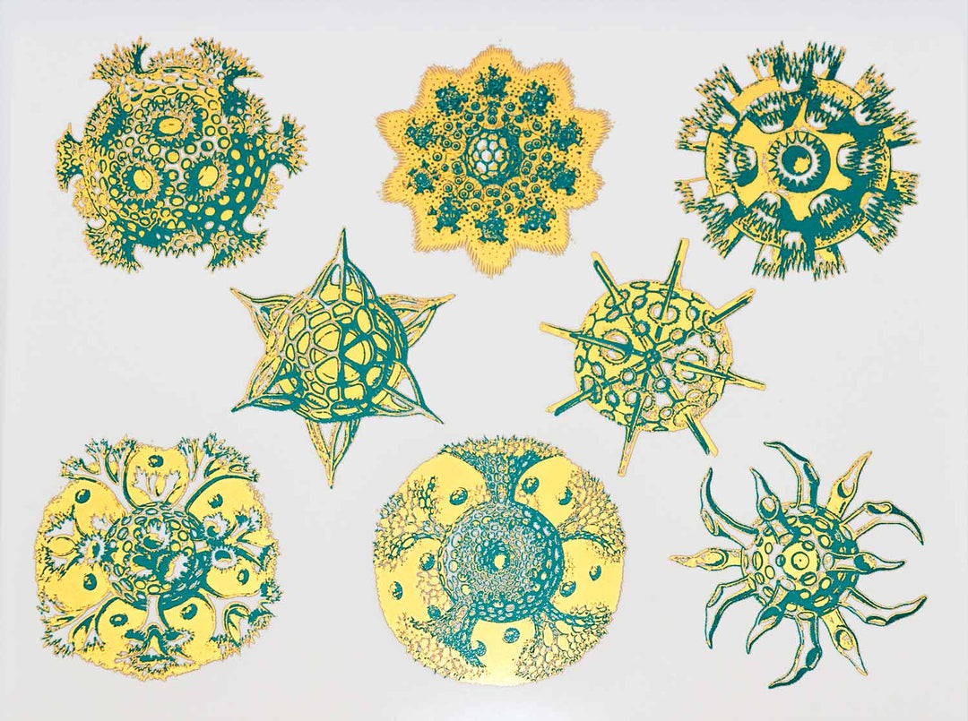 Décalcomanies forme Nature #2 bicolores - Céramique Cône 017 - Verre fusionné - Émail