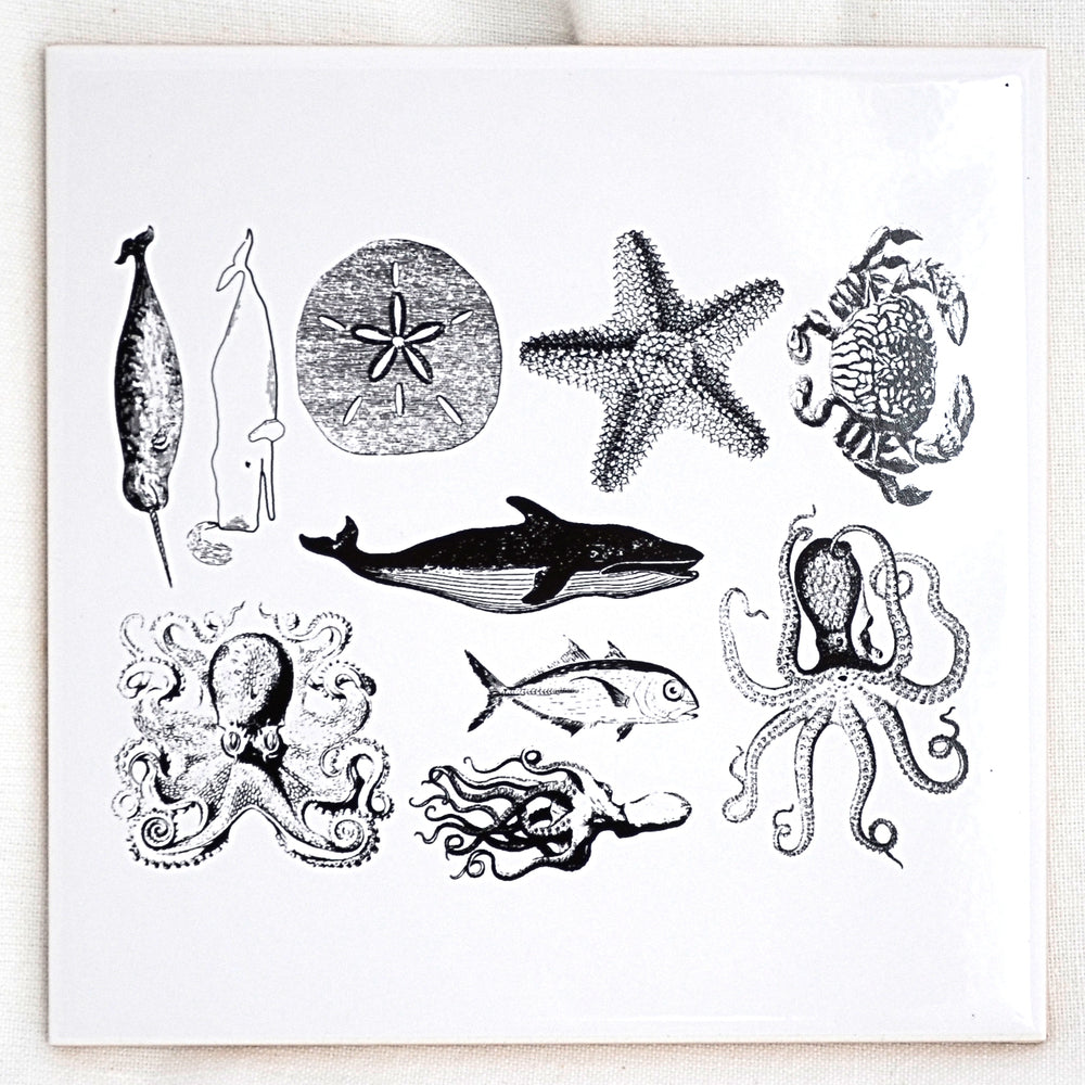 Décalcomanies de vie marine mélangée - Céramique Cône 017 - Verre fusionné - Émail