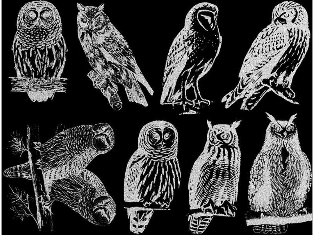 Décalcomanies Hibou - Verrerie - Émail