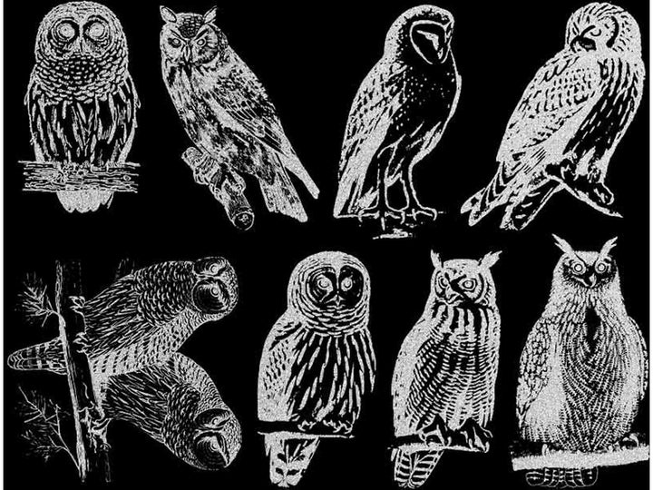 Décalcomanies Hibou - Verrerie - Émail