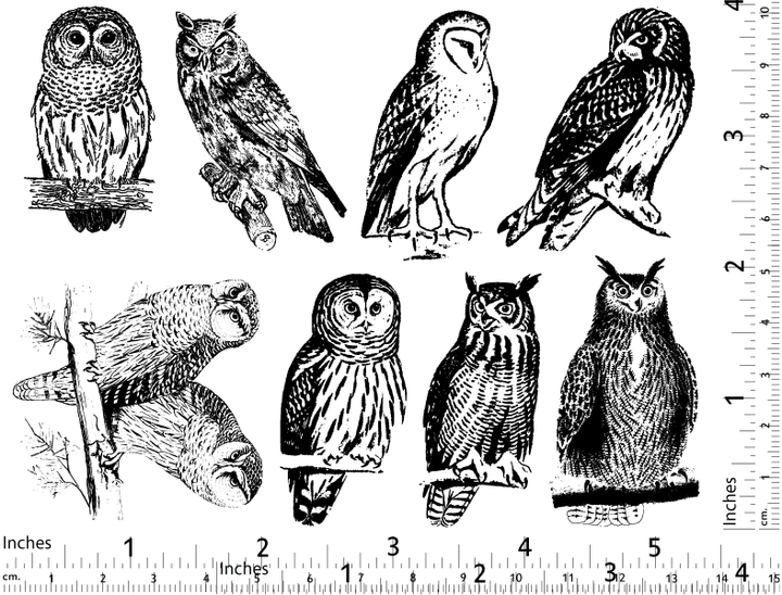 Décalcomanies Hibou - Verrerie - Émail