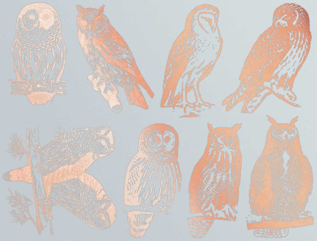 Décalcomanies Hibou - Céramique Cône 017 - Verre fusionné - Émail