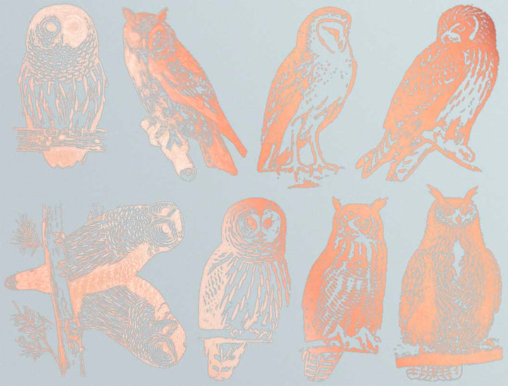 Décalcomanies Hibou - Céramique Cône 017 - Verre fusionné - Émail