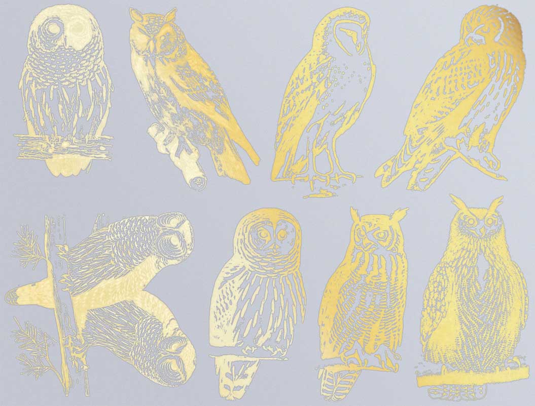 Décalcomanies Hibou - Céramique Cône 017 - Verre fusionné - Émail