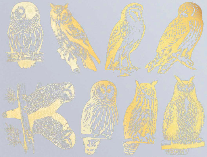 Décalcomanies Hibou - Céramique Cône 017 - Verre fusionné - Émail